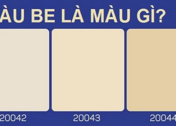 Có khá nhiều màu mang tông be được nhiều người sử dụng 