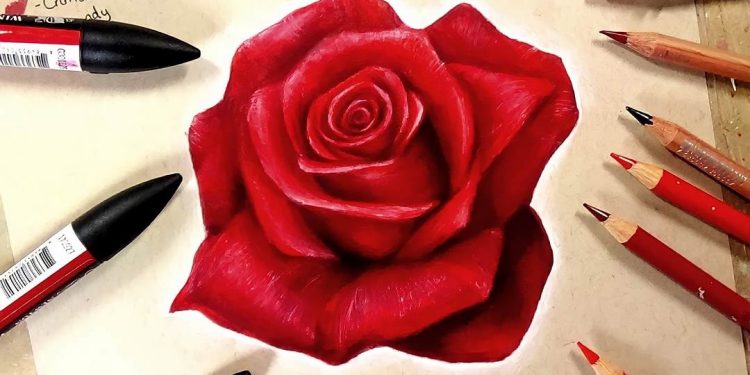 Một vài lưu ý để vẽ hoa mềm mại hơn