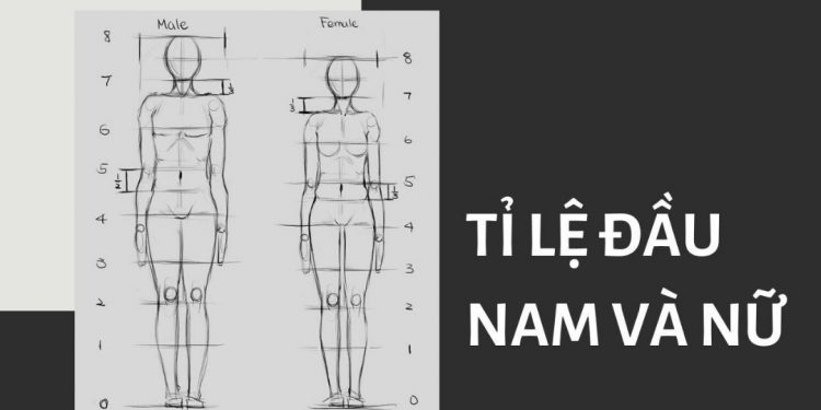Những phác họa trừu tượng mang tính thẩm mỹ