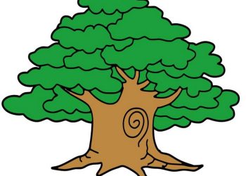 Vẽ cây - những điều đơn giản to lớn