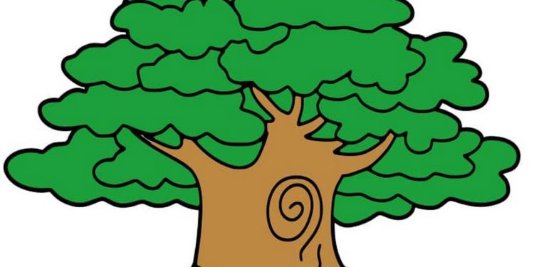 Vẽ cây - những điều đơn giản to lớn