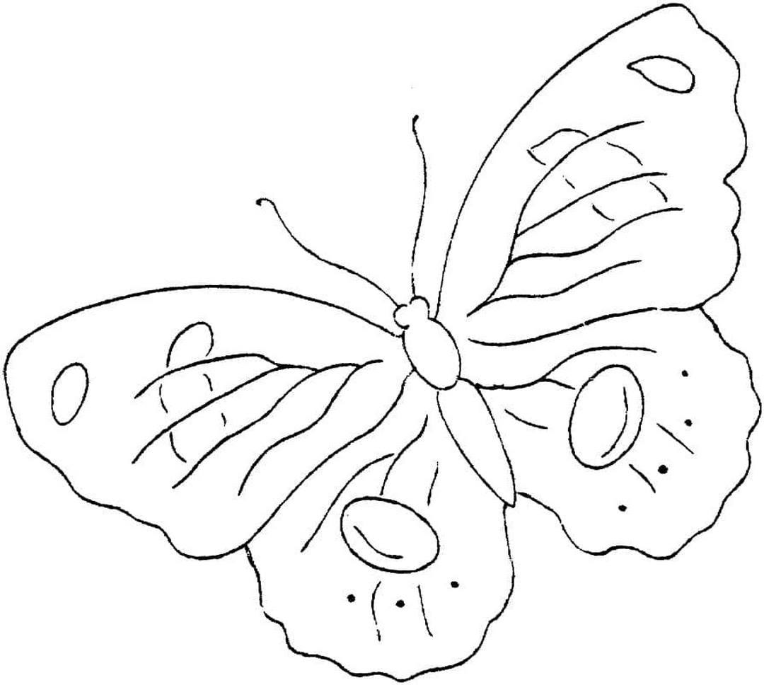 15 tranh tô màu hình con bướm chọn lọc cho bé