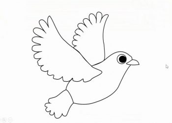 Loài chim cũng rất đa dạng các chủng loại