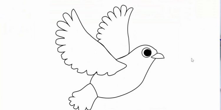 Loài chim cũng rất đa dạng các chủng loại