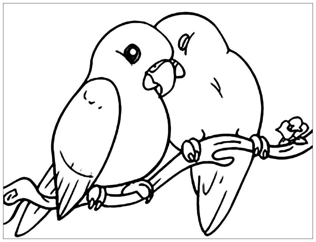 Chia sẻ hơn 52 về hình vẽ con chim  Du học Akina