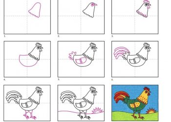 Các bước để vẽ một con gà đơn giản nhất 