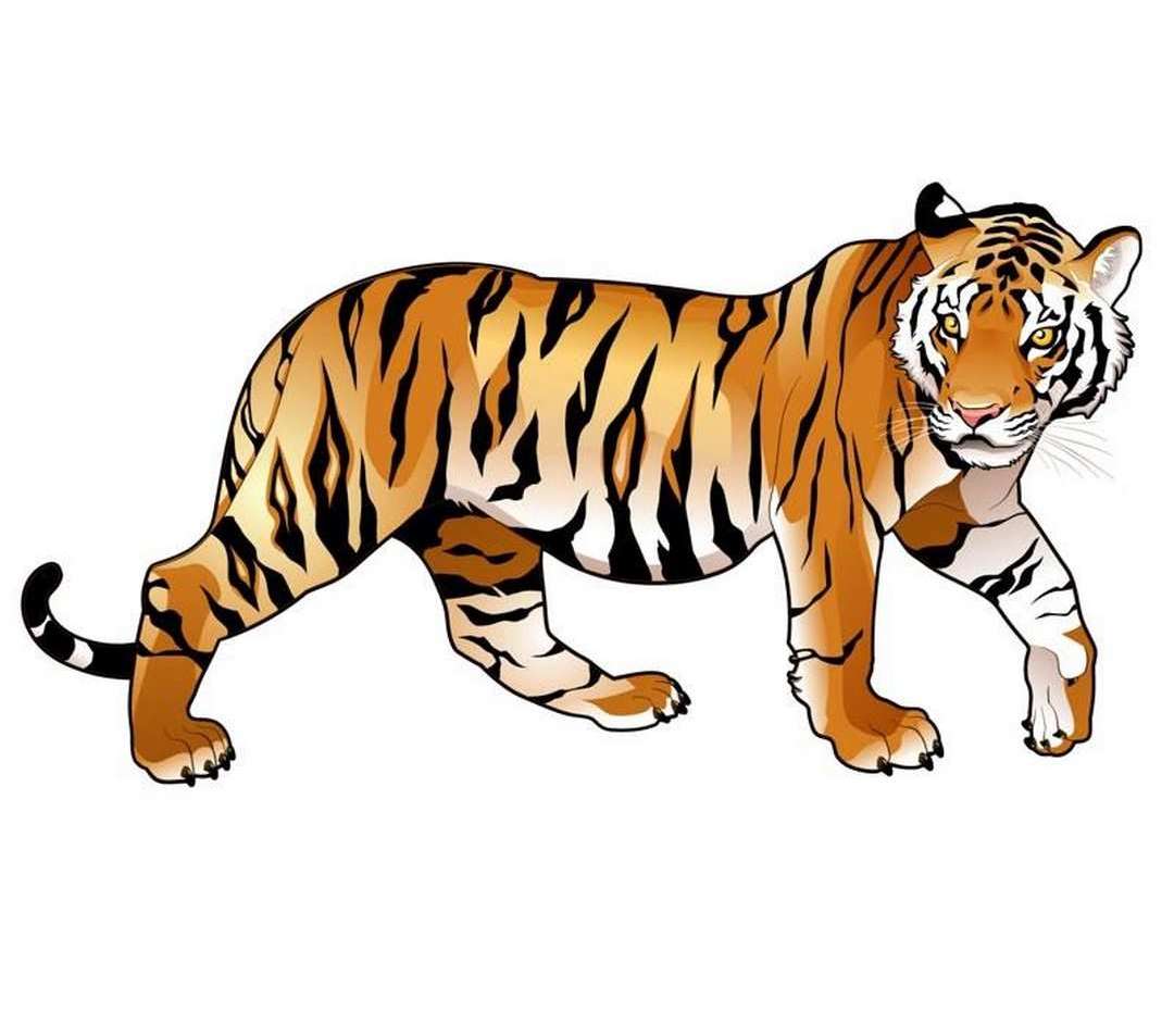 Cách vẽ con hổ đơn giản nhưng siêu đẹp uy nghiêm Mẫu vẽ hổ  Đại Việt  Sài Gòn