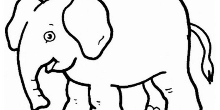 Cách vẽ con voi cực kỳ đơn giản cho bé