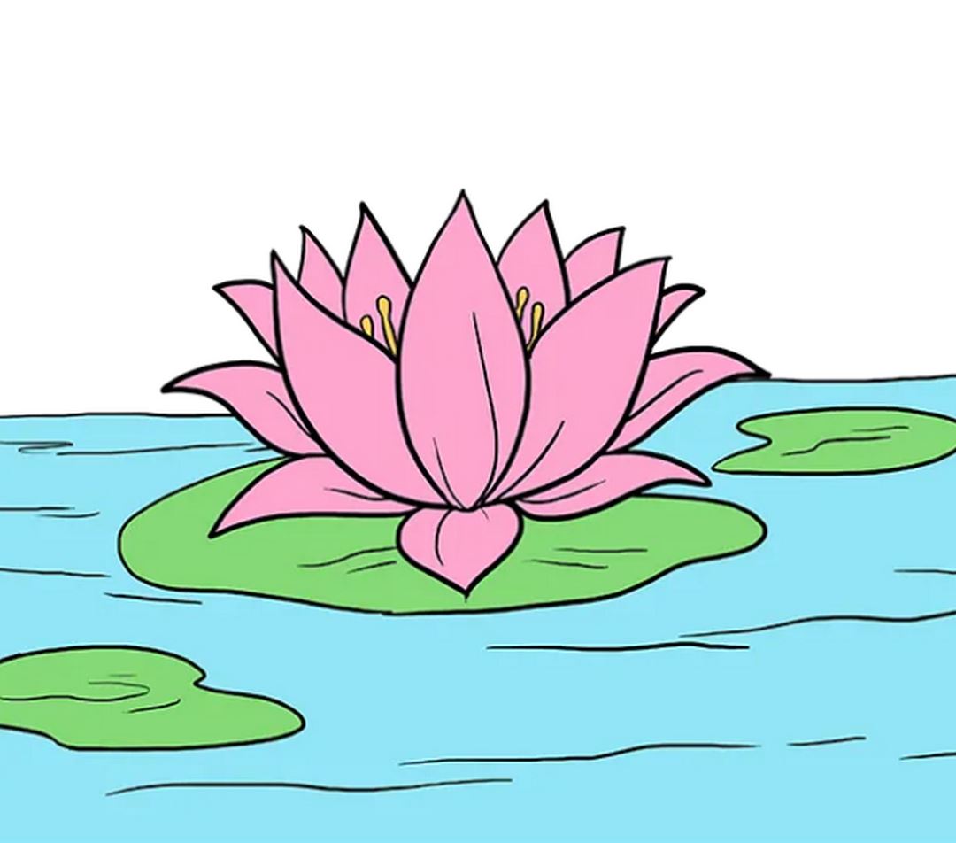 Vẽ hoa sen đơn giản  How To Draw Lotus Step By Step  Easy Drawing   YouTube