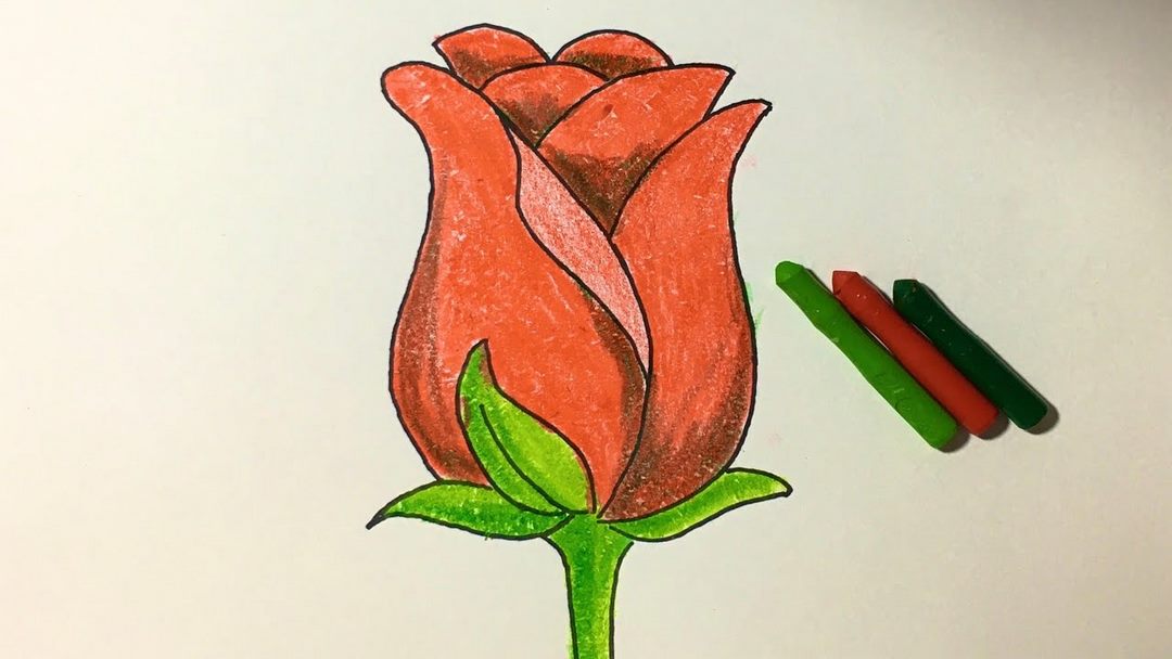 Cách vẽ một bông hồng đang nở