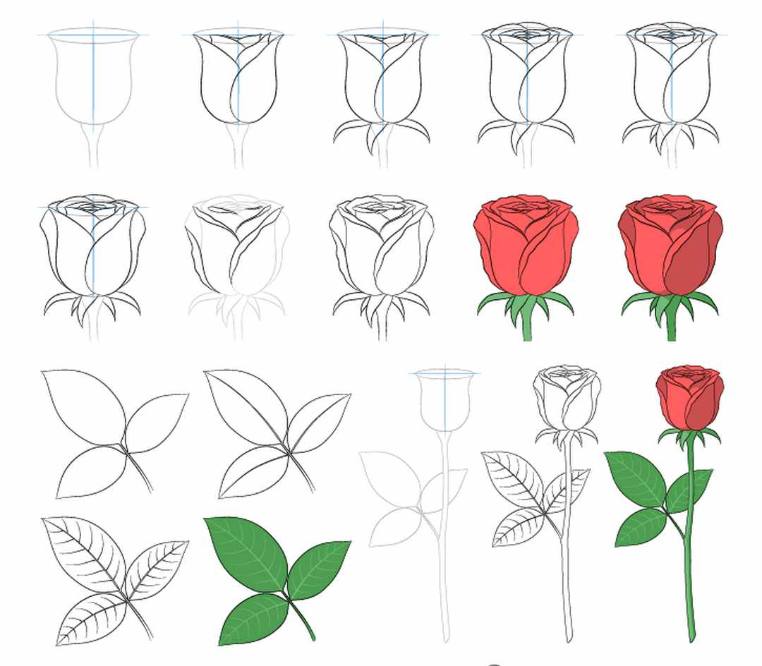 Học vẽ 8 cách vẽ hoa hồng dễ như ăn kẹo
