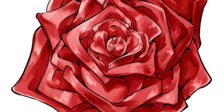 Đặc điểm sinh học của cây hoa hồng