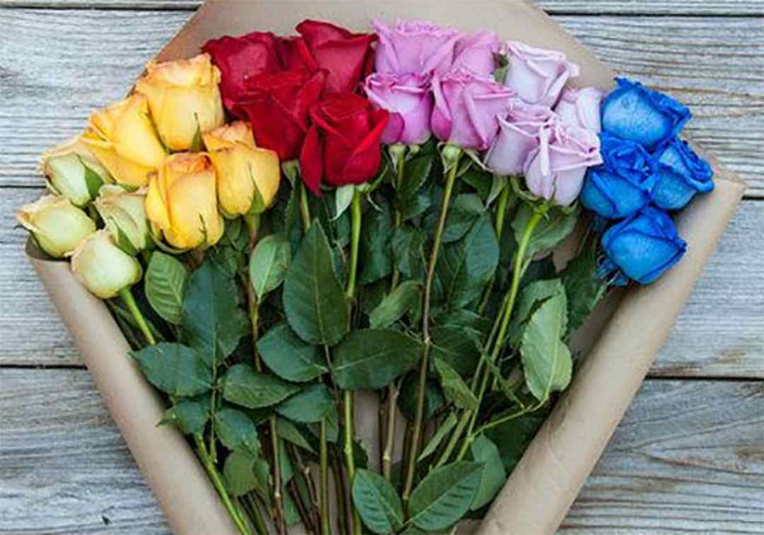 Hoa hồng thuộc loại hoa lưỡng tính, nhị đực và nhị cái trên cùng một cành