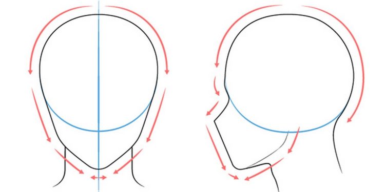Các chi tiết bên trong tai nhân vật nam