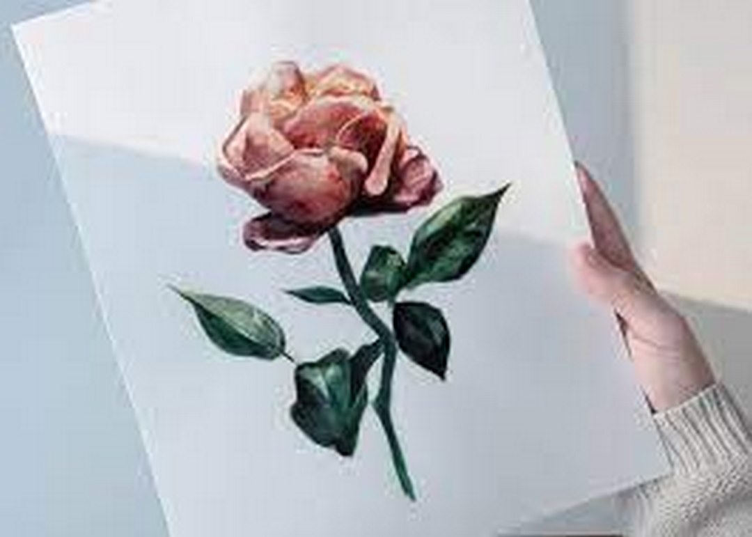 Hướng dẫn vẽ hoa hồng bằng màu acrylic đẹp đơn giản