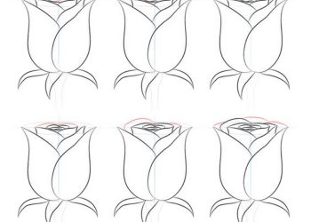 Bổ sung thêm nhiều cánh và đài để bông hoa tự nhiên hơn