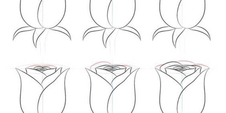 Bổ sung thêm nhiều cánh và đài để bông hoa tự nhiên hơn