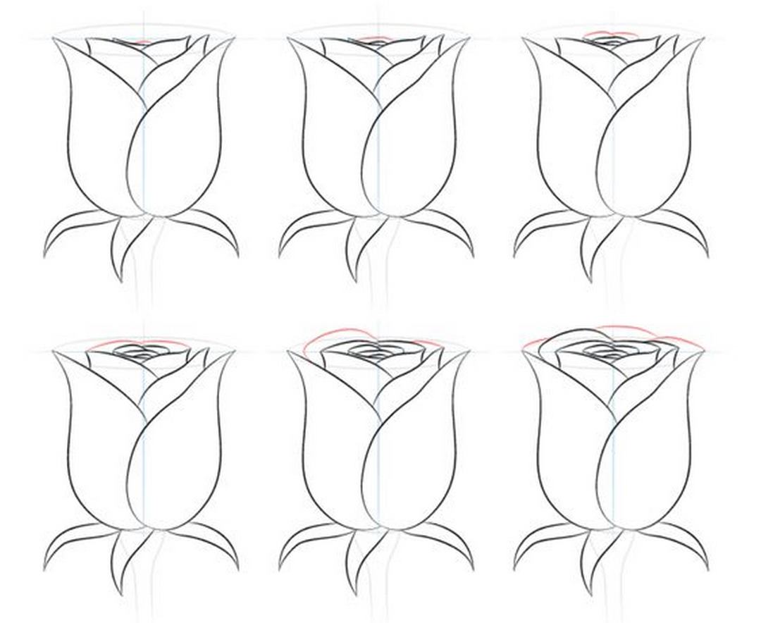 Cách Vẽ Hoa Tulip  HTNC