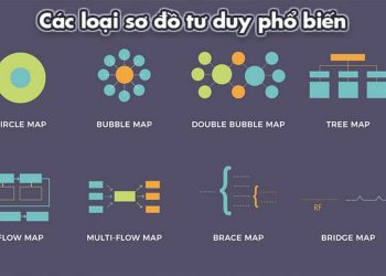 Tổng hợp đầy đủ các loại sơ đồ tư duy