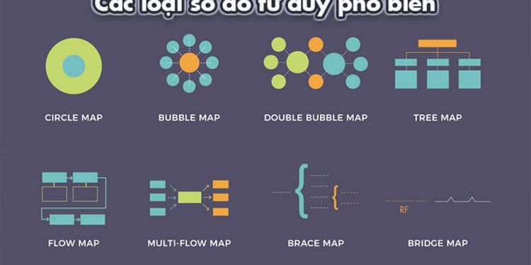 Tổng hợp đầy đủ các loại sơ đồ tư duy