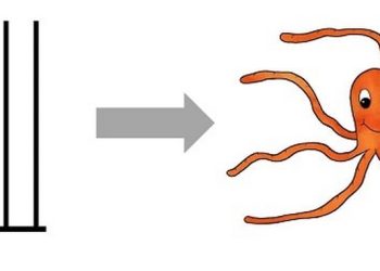 Bị ám ảnh bởi phong cách