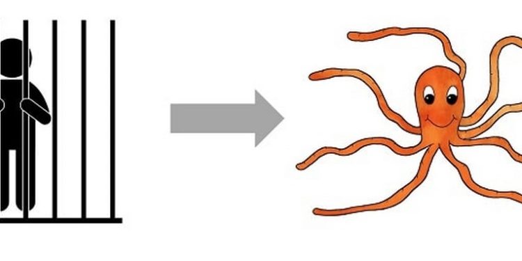 Bị ám ảnh bởi phong cách