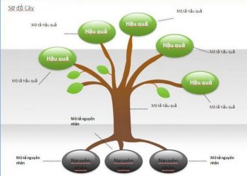 Sơ đồ tư duy hình cây xanh còn được gọi là Mind Map