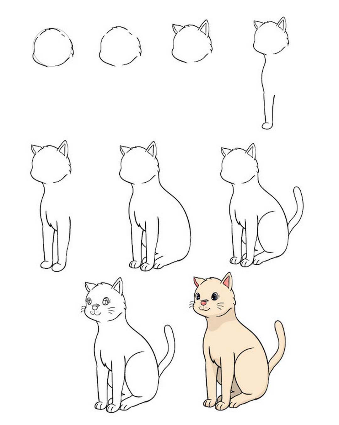 Cách vẽ con mèo chỉ với 9 bước đơn giản