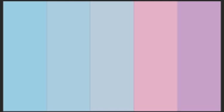 Hướng dẫn sử dụng công cụ Selective Color để tạo Bảng phối màu Pastel trong Adobe Photoshop