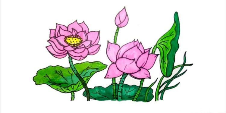 Xem Ngay Hướng Dẫn Cách Vẽ Hoa Ly Đơn Giản Dễ Vẽ Mà Đẹp Vẽ Hoa Ly Bằng  Bút Chì