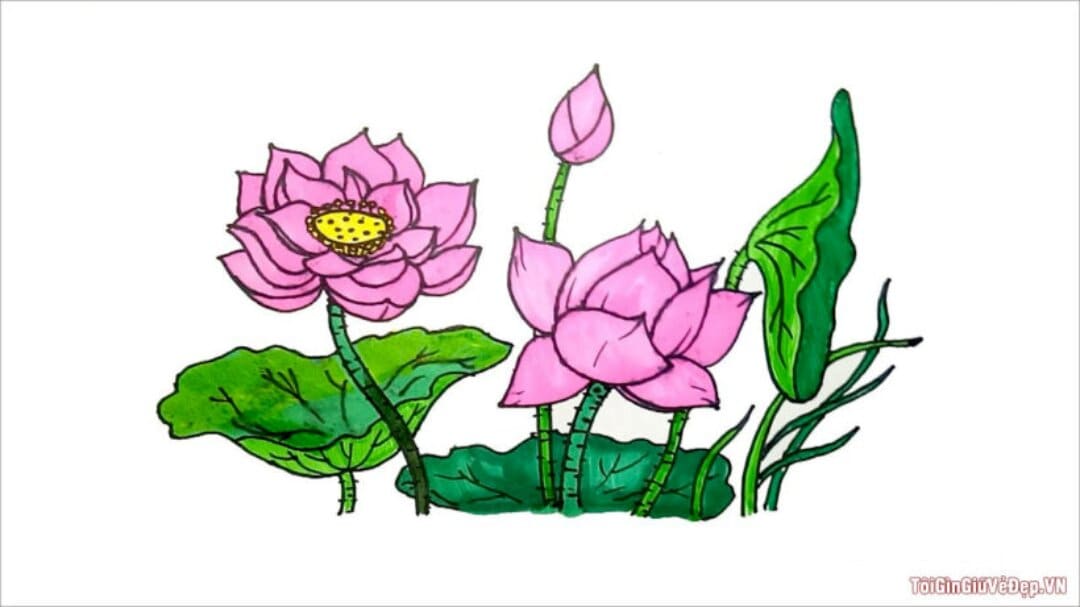 15 Cách vẽ hoa hồng đẹp cực đơn giản và nhanh nhất