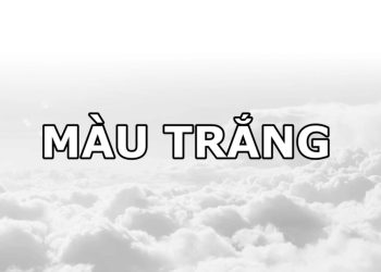 Cách phối đồ Màu Trắng để tạo nên look hiện đại