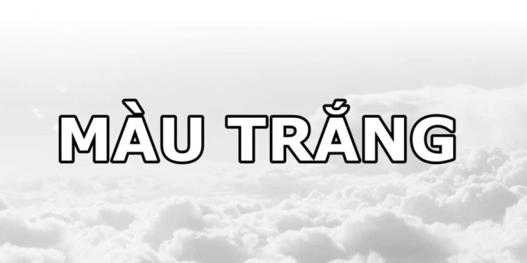 Cách phối đồ Màu Trắng để tạo nên look hiện đại