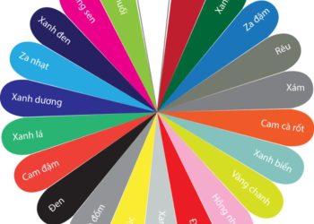 Cách Phối Màu Quần Áo Cho Nữ và Nam Để Tạo Nét Thời Trang Hiện Đại