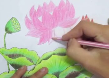 Cách kết hợp các phần của hoa sen đẹp