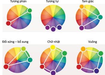 Tìm hiểu các quy tắc về màu sắc và cách phối màu để thể hiện sự tinh tế và lôi cuốn