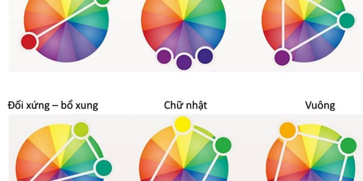 Tìm hiểu các quy tắc về màu sắc và cách phối màu để thể hiện sự tinh tế và lôi cuốn