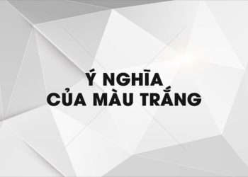 Ý nghĩa của màu trắng: từ vẻ đẹp đến sự tinh khiết