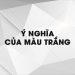 Ý nghĩa của màu trắng: từ vẻ đẹp đến sự tinh khiết