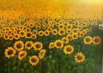 Cách sử dụng các dụng cụ vẽ hoa hướng dương hiệu quả nhất