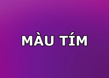 Ý nghĩa của màu tím trong thế giới phong thủy