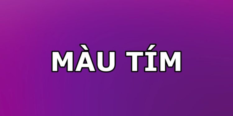 Ý nghĩa của màu tím trong thế giới phong thủy