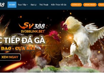 Nhà cái SV388 trực tiếp đá gà uy tin hàng đầu