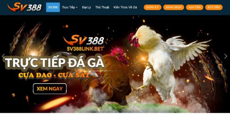 Nhà cái SV388 trực tiếp đá gà uy tin hàng đầu